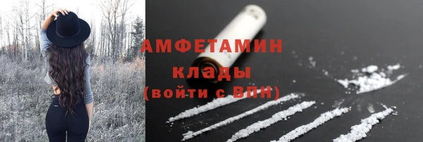 apvp Вяземский