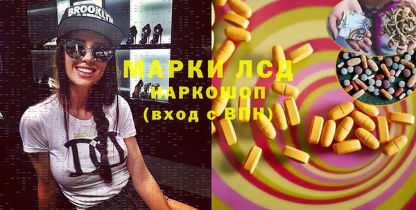 apvp Вяземский