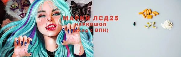 apvp Вяземский