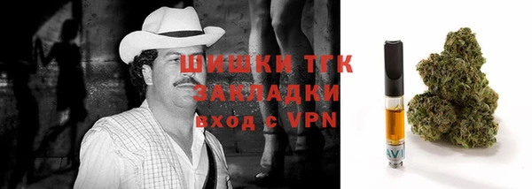 apvp Вяземский