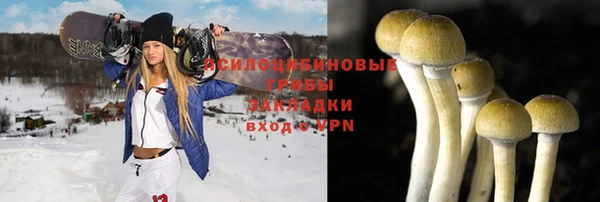гидра Вязники
