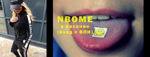 apvp Вяземский