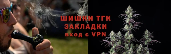 apvp Вяземский