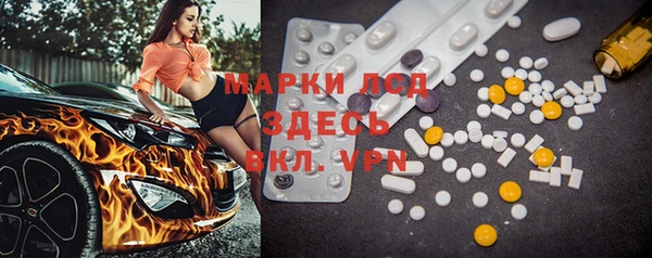 apvp Вяземский