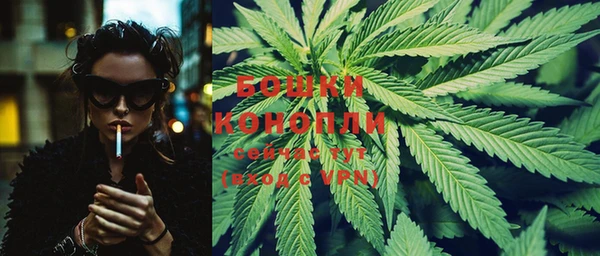 гидра Вязники
