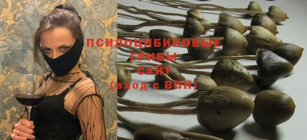 2c-b Вязьма