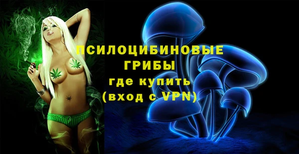 2c-b Вязьма