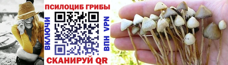 Галлюциногенные грибы Psilocybine cubensis  Альметьевск 